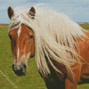 blond hair horse Diamond Dotz