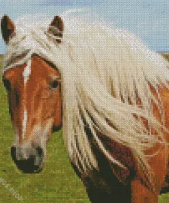 blond hair horse Diamond Dotz
