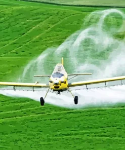 crop duster aiplane Diamond With Numbers