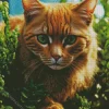 cute green eyed cat animal Diamond Paintings