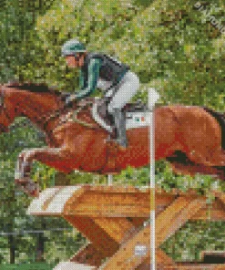 eventing horse Diamond Paintings