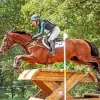 eventing horse Diamond Paintings