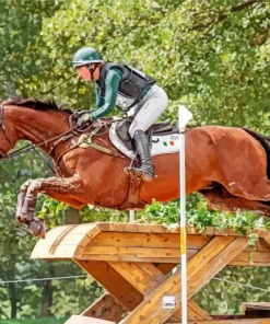 eventing horse Diamond Paintings