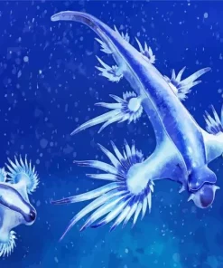 glaucus atlanticus Diamond Paintings