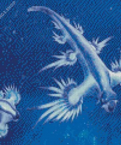 glaucus atlanticus Diamond Paintings