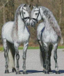grey friesian horses Diamond Paintings