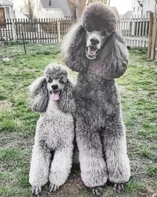 grey poodles dogs Diamond Paintings