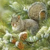 grey squirrel animal art Diamond Paintings