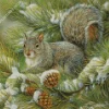 grey squirrel animal art Diamond With Numbers
