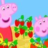 pig with strawberry Diamond Paintings