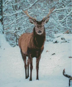 Barbary stag Diamond Paintings