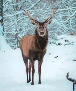 Barbary stag Diamond Paintings