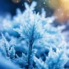Frost on the fairy snow queen art Diamond Paintings