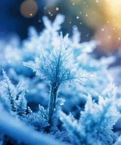 Frost on the fairy snow queen art Diamond Paintings