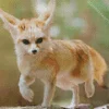 Wild blond fox Diamond Paintings