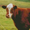 baby brown and white cow Diamond With Numbers