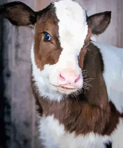 Baby Brown And White Cow Diamond Painting