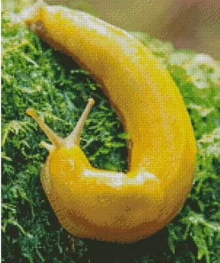 banana slug Diamond Dotz