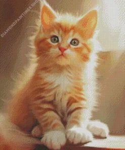 blonde kitten Diamond With Numbers