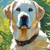 blonde labrador dog Diamond With Numbers