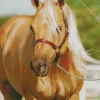 blonde stallion Diamond Paints