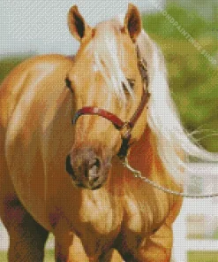 blonde stallion Diamond Paints