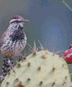 cactus wren Diamond With Numbers