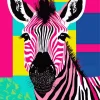 funky zebra art Diamond Paintings
