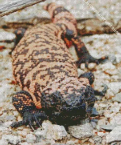 gila monster Diamond With Numbers