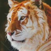 golden tiger Diamond Paints