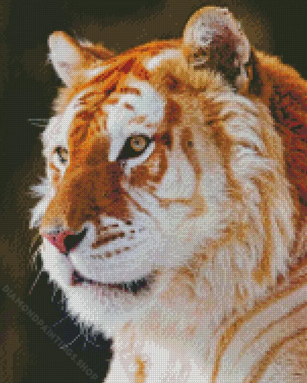 golden tiger Diamond Paints golden tiger Diamond Paints
