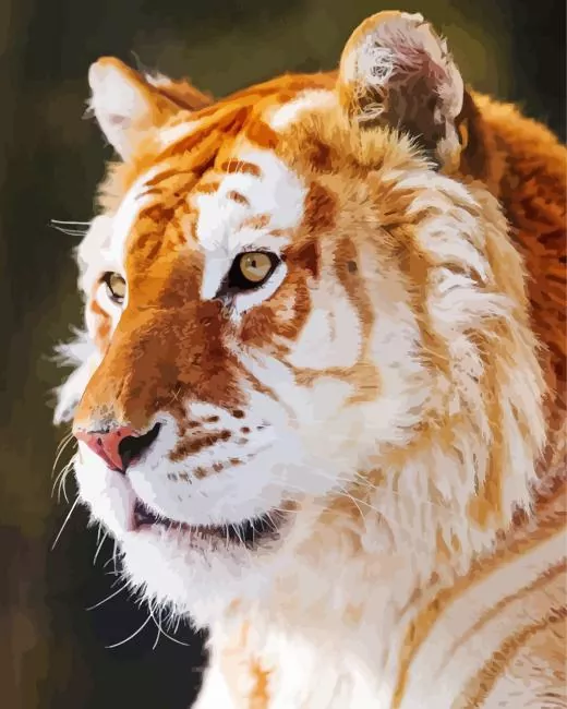 golden tiger Diamond With Numbers golden tiger Diamond Paints