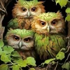 green group of owls Diamond Paintings