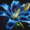 Blooming Blue Lily Diamond Painting