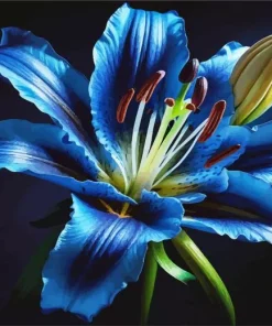 Blooming Blue Lily Diamond Painting