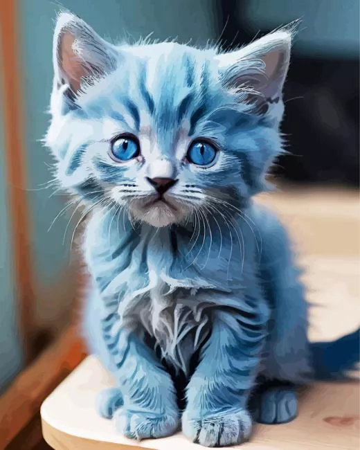 Blue Baby Cat Diamond Paints Blue Baby Cat Diamond Painting