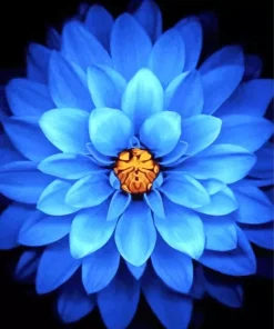 Blue Dahlia Diamond Painting