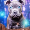 Blue Eyed Staffy Diamond Painting