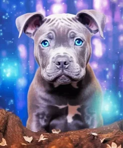 Blue Eyed Staffy Diamond Painting
