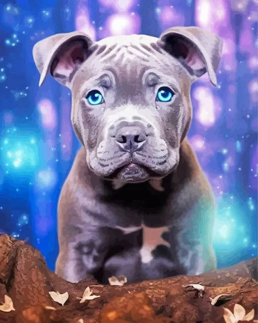Blue eyed staffy Diamond Paintings Blue Eyed Staffy Diamond Painting