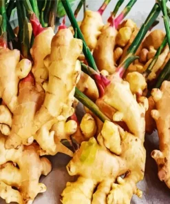 Ginger Plant Diamond Painting