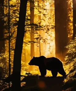 Bear Silhouette Diamond Painting