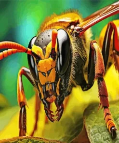 Bee Eyes Diamond Painting