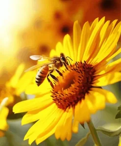 Bee On Sunflower Diamond Painting