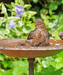 Bird Bath Diamond Painting