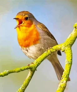 Bird Singing Diamond Painting