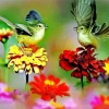 Birds On Flowers Diamond Painting