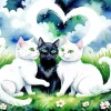 Black And White Cats Diamond Painting