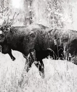 Black And White Moose Diamond Painting