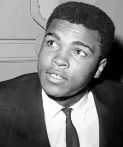 Black And White Muhammad Ali Diamond Painting